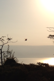 Sunrise over the Galilee